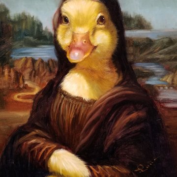 Mona ducky ©Lucia Heffernan