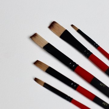 Set of 5 professional nylon brushes (flat)