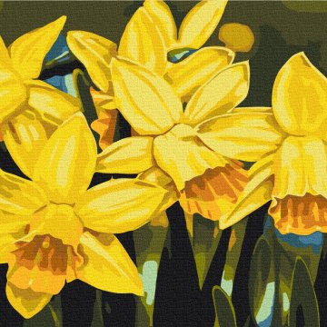 Daffodils © Anastasiia Osmolovska