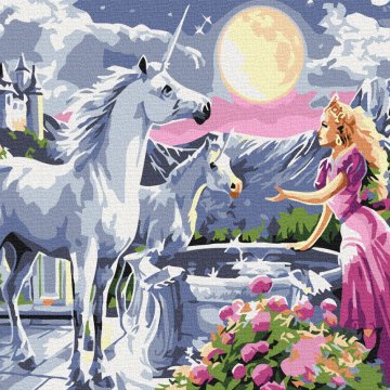 Princess and the unicorns