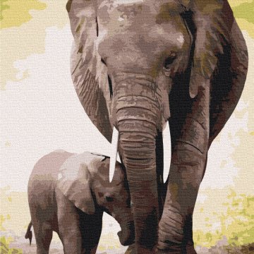 Перші дні слоненя