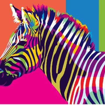 Rainbow zebra