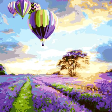 Flug über ein Lavendelfeld