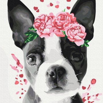 Boston terrier într-o coroană