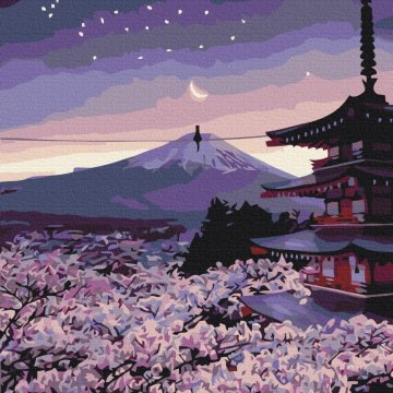 Soirée Japon