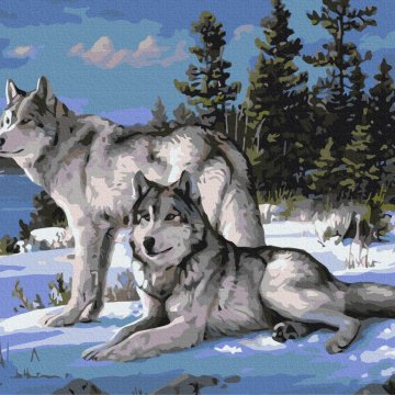 Les loups sont des protecteurs