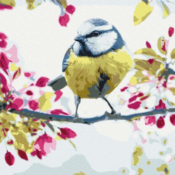 Spring tit