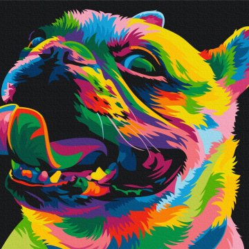 Rainbow dog