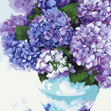 Hortensia dans un ciel pot