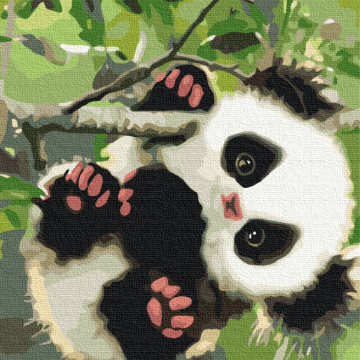 Panda jucăuș