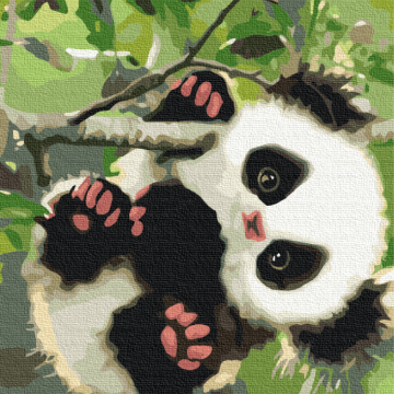 Verspielter Panda