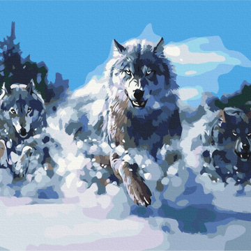 Loups en mouvement