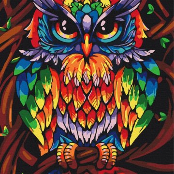 Hibou sage arc-en-ciel