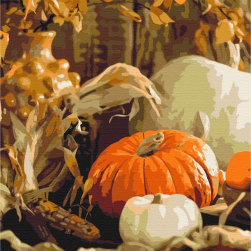 Pumpkin still life