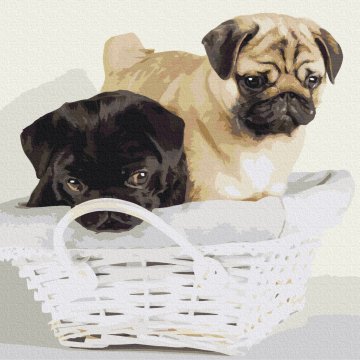 Friends in the basket