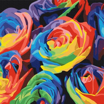 Rainbow roses