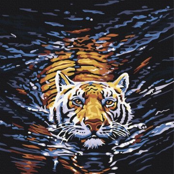 Tiger swimmer