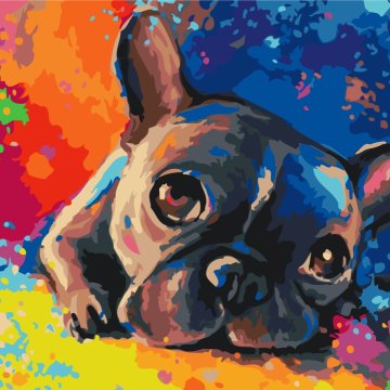 Colored bulldog