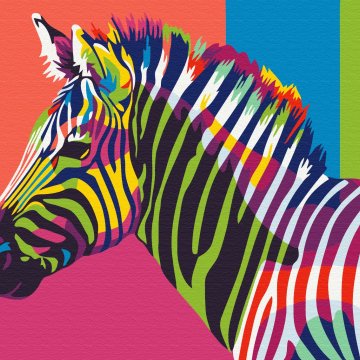 Regenboog zebra