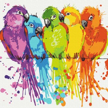 Colorful parrots