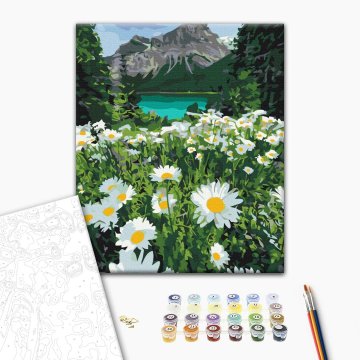 Daisies by the mountains