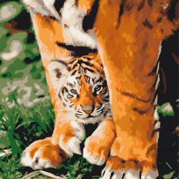 Tigre aux pattes puissantes