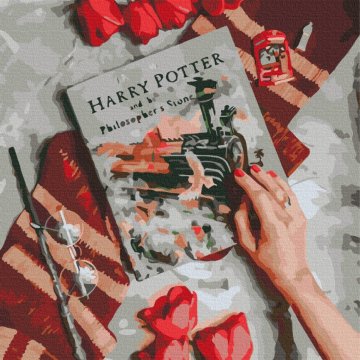 Zapoznaj się z magicznym światem Harry