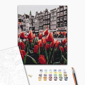Les tulipes d’Amsterdam