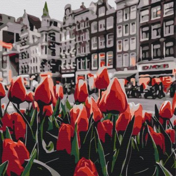 Les tulipes d’Amsterdam