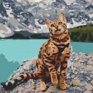 Pet in the mountains