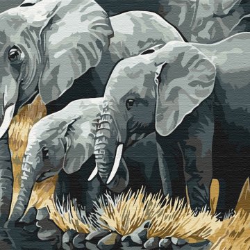 Famille d'éléphants