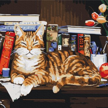 Kat op de boekenplank