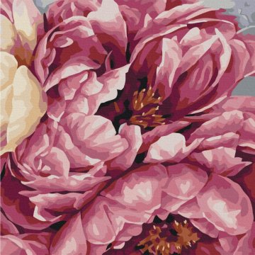 Flowering peonies